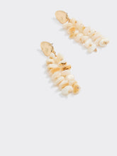 Seashell Earrings