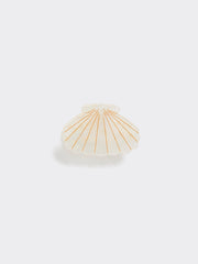 Shell Hair Clip