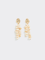 Seashell Earrings
