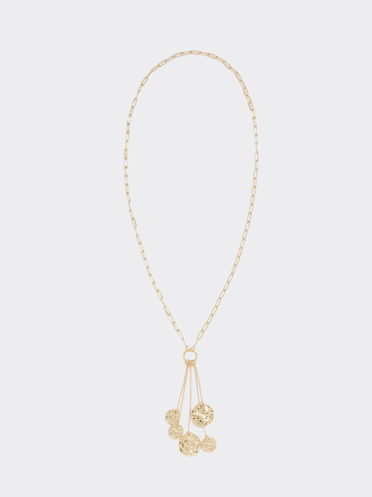 Long Carabiner Necklace with Coin Pendants